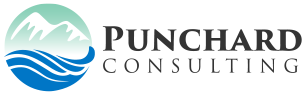 Punchard Consulting, LLC